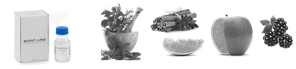 Fragrances SCENTLINQ